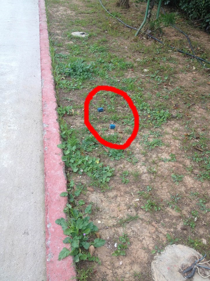 aristeri-kinisi-peristerioy_foles-2