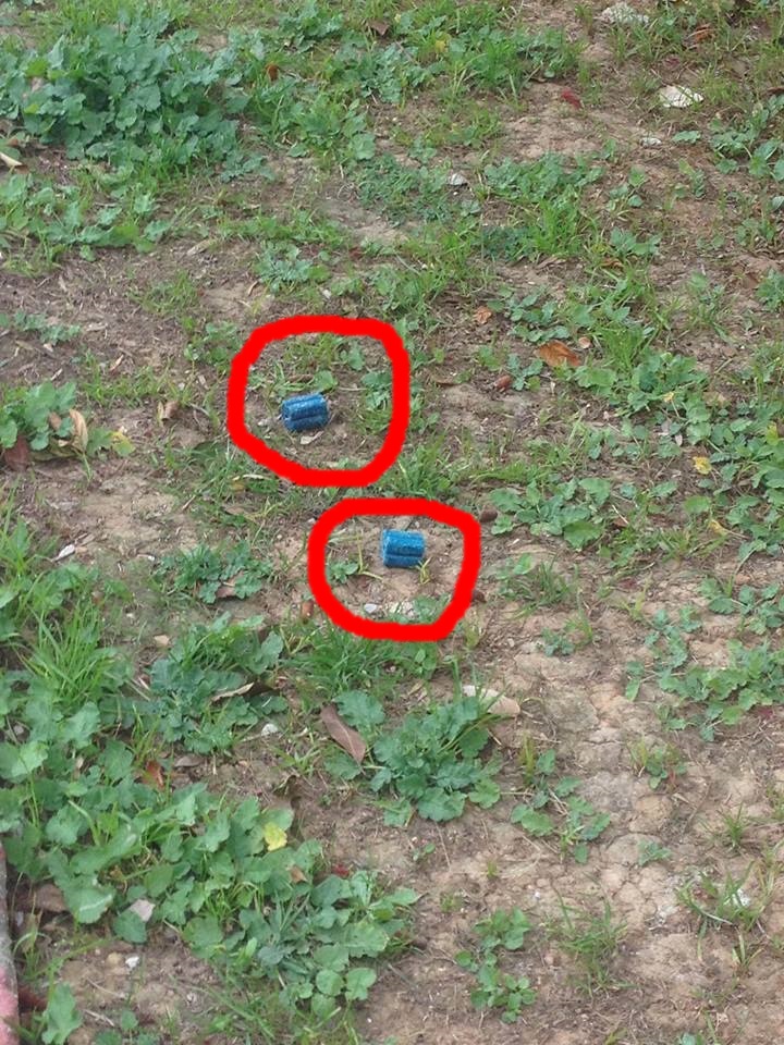 aristeri-kinisi-peristerioy_foles-3