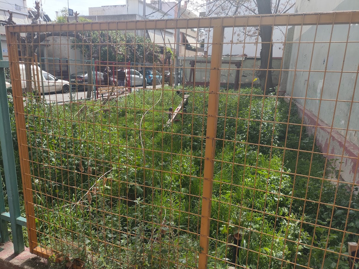 Η πλατεία στην οδό Αβονίτσης μερικές μέρες πριν, λίγο πριν κουρευτεί η